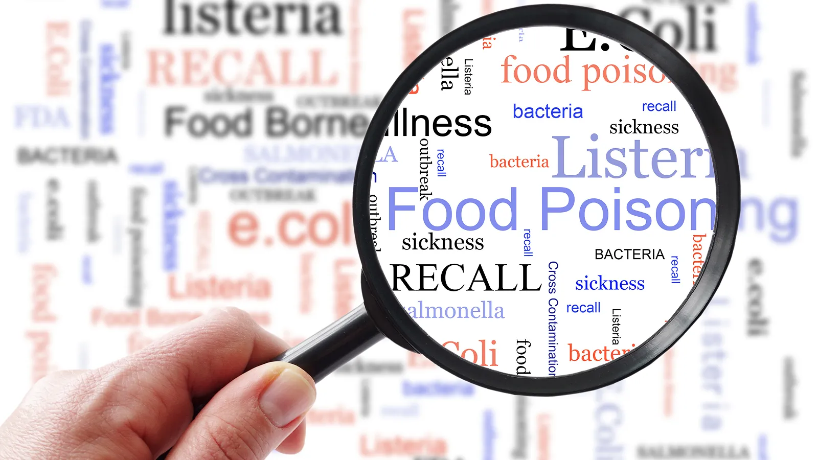食品工場における食中毒の原因や食中毒の対策方法、予防のための3原則を解説