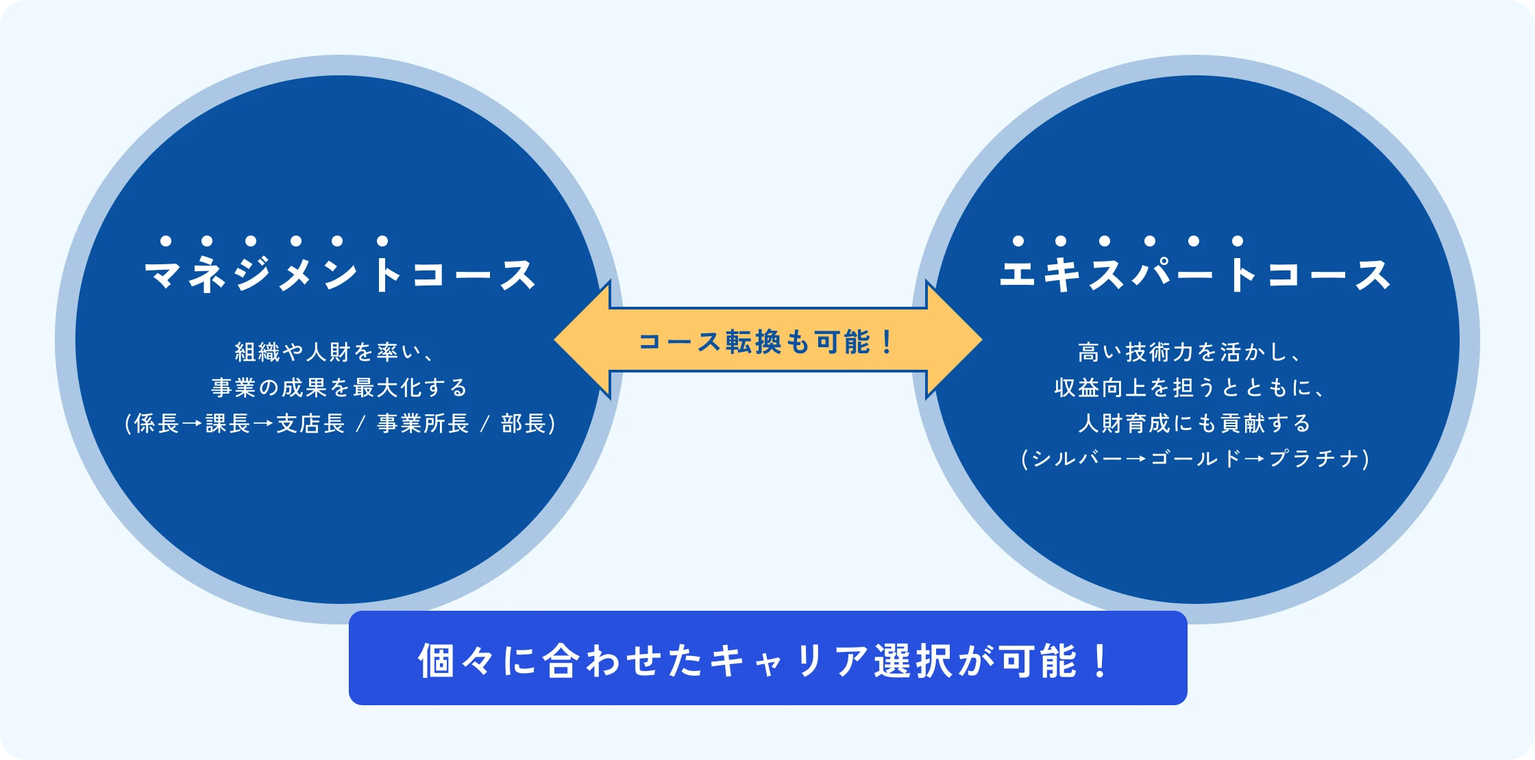 キャリアの複線化図